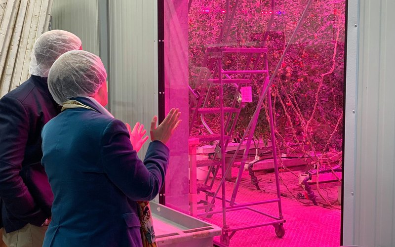 vertical farming led grow lights