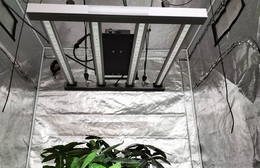 indoor grow lights for plants