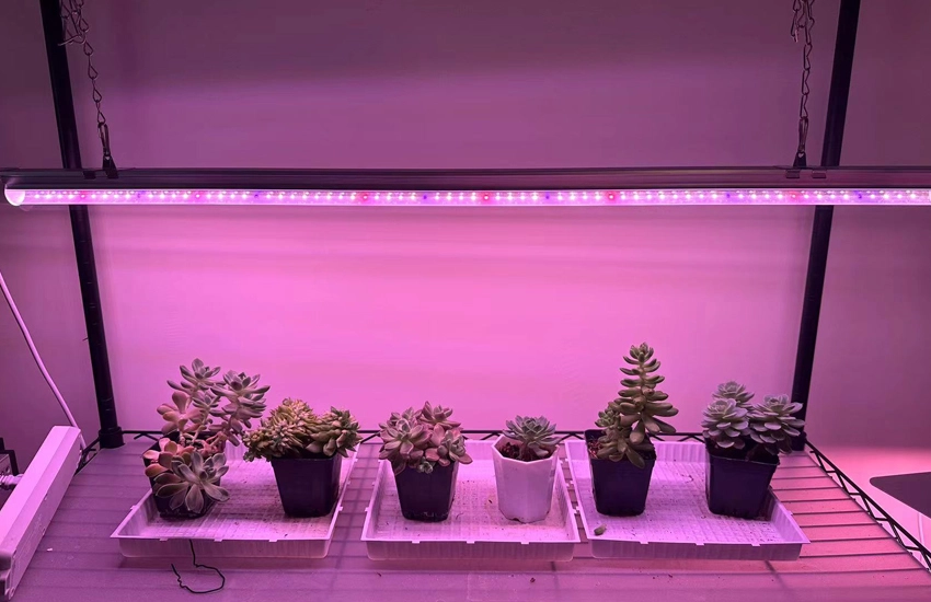 led plant grow light tube