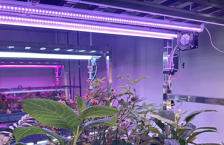 led tube lights for growing plants