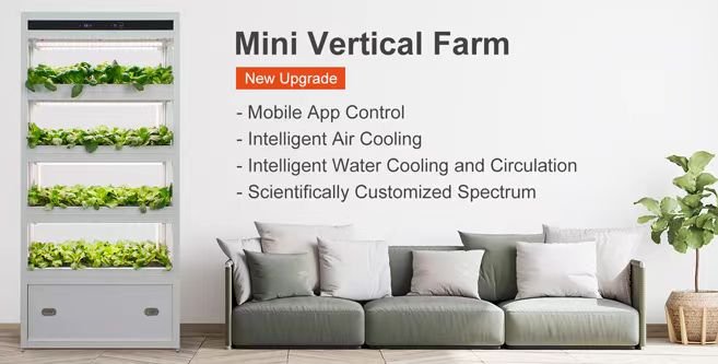Mini Vertical Farm