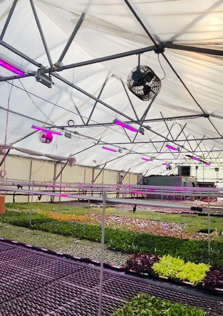 LED greenhouse with fans