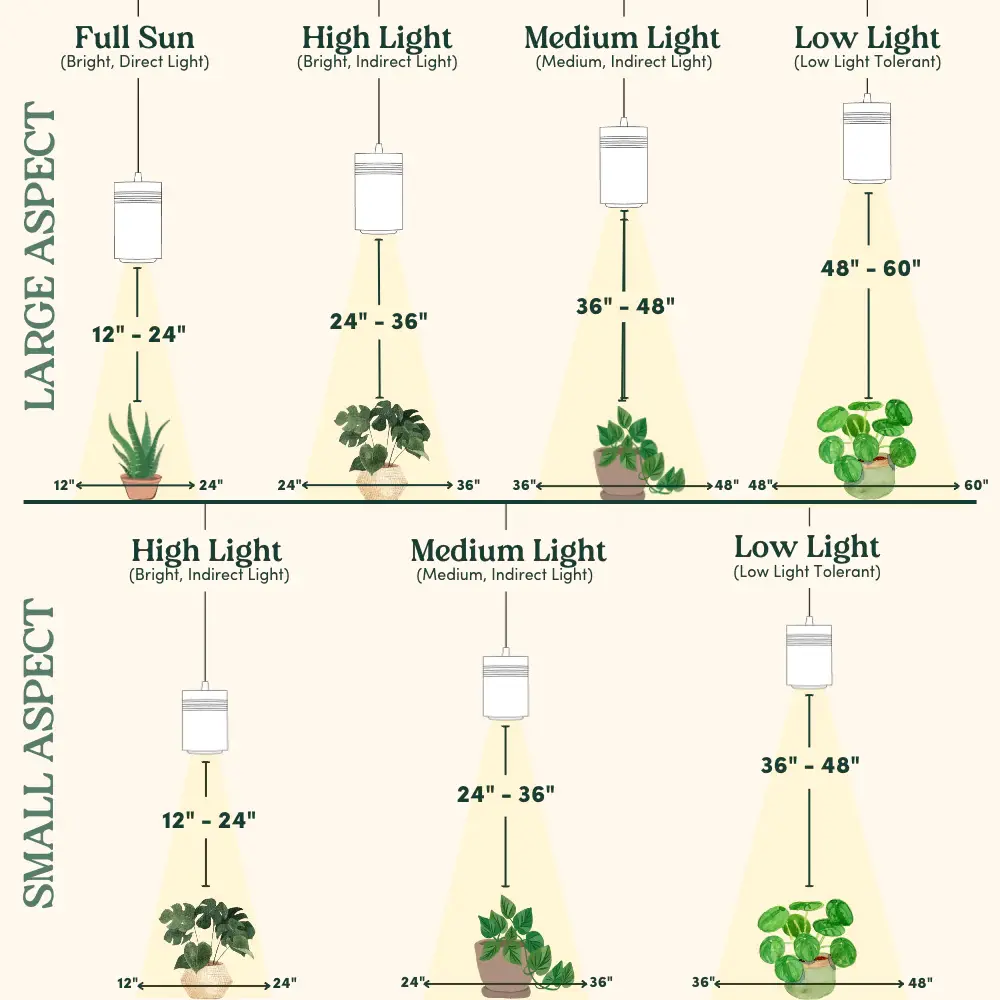 can grow light burn plants