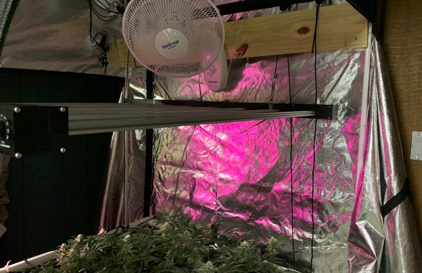 fan in small grow tent