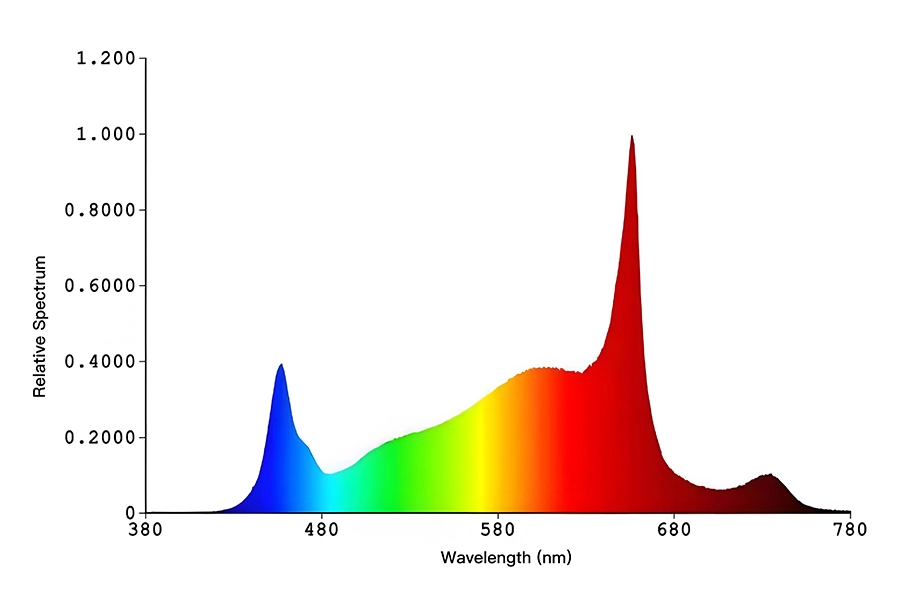 espectro de luces bajo el dosel