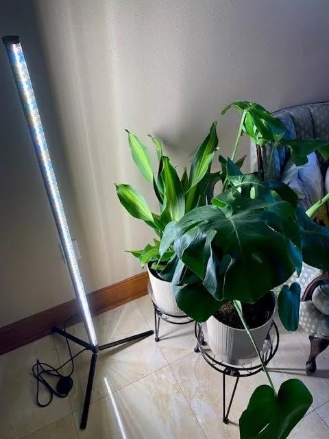 indoorplants lamp with stand
