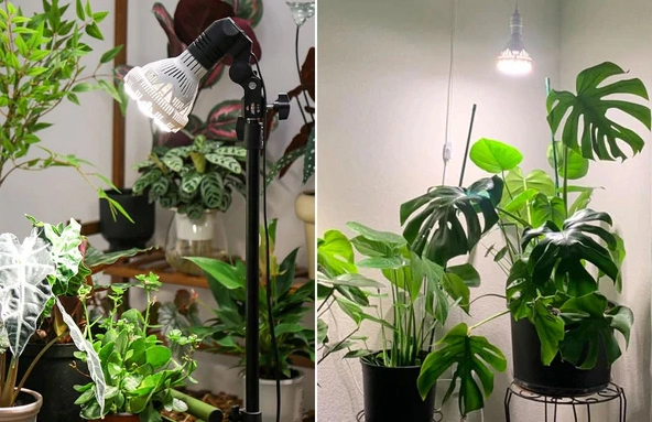grow light bulb for plants