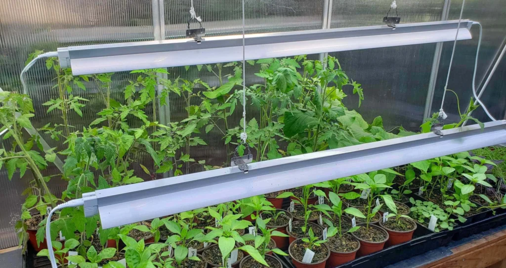 Tubos leves de cultivo de LED para estufa